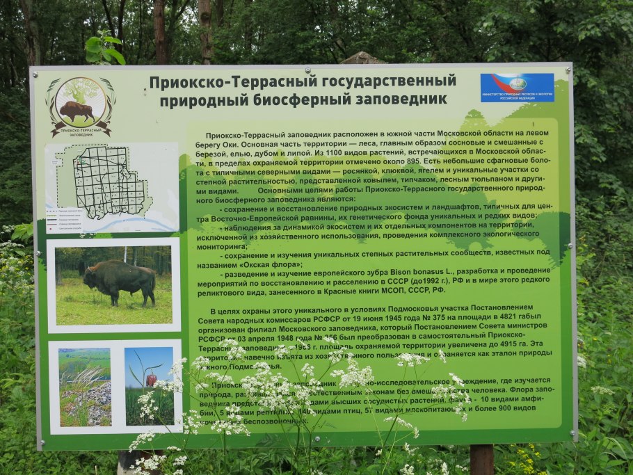 Приокско-Террасный заповедник, местечко данки