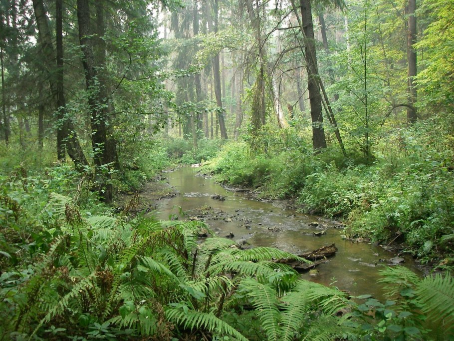 Приокско-Террасный заповедник Серпухов