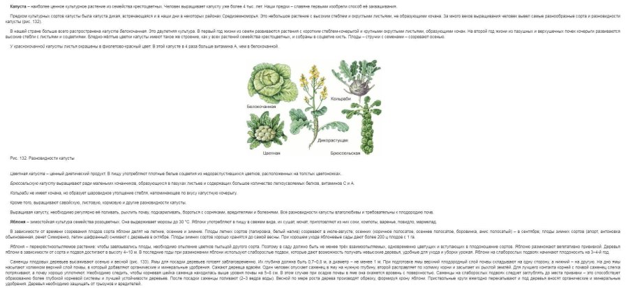 Учебник по биологии 6 класс Корчагина
