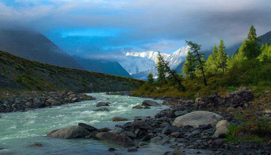 Горный Алтай цветение багульника