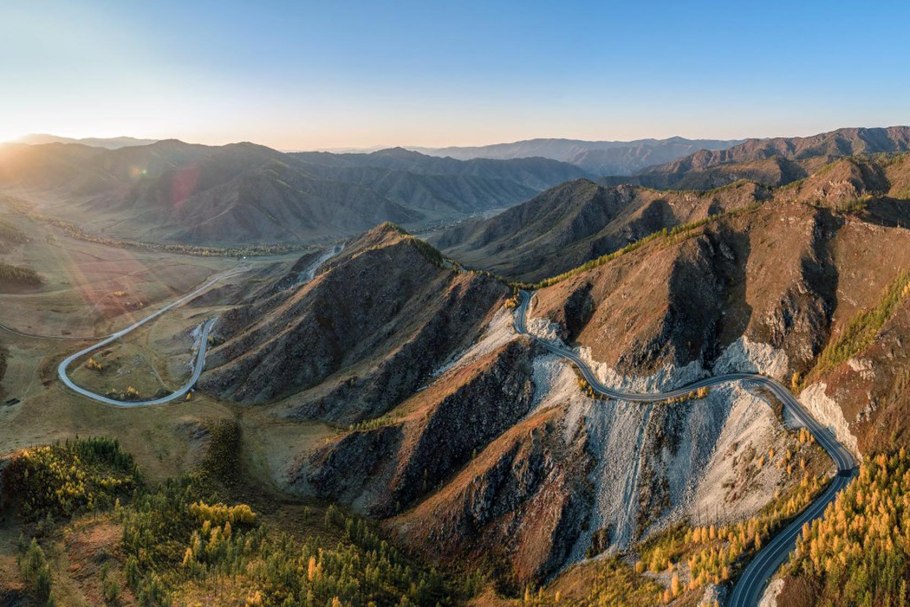 Цветение багульника на Алтае