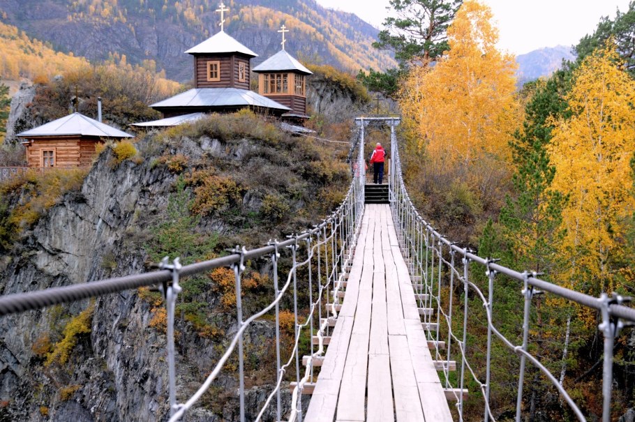 Пузырник папоротник