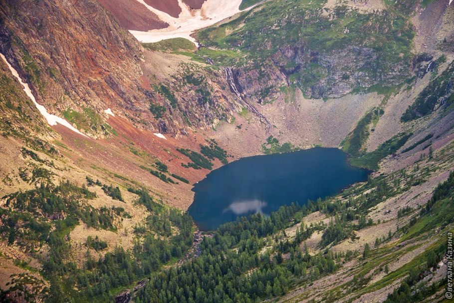 Зверобой кустарниковый Hidcote