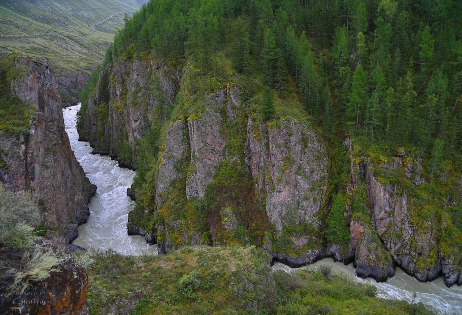 Катунский заповедник Альпийские Луга