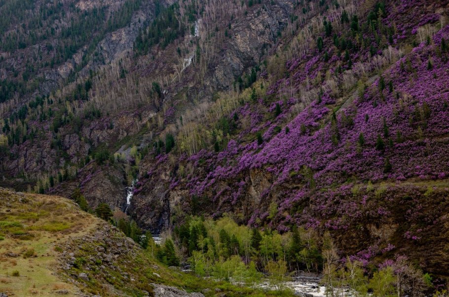 Карстовые озера горного Алтая