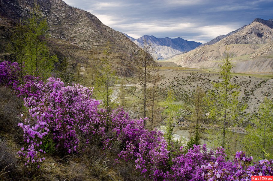Перевал Кату-Ярык горный
