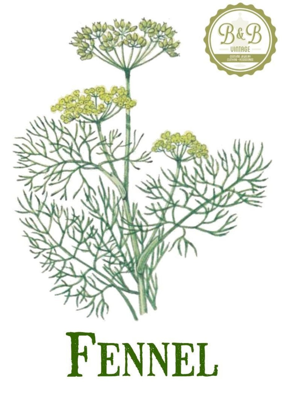 Фенхель / ковид19