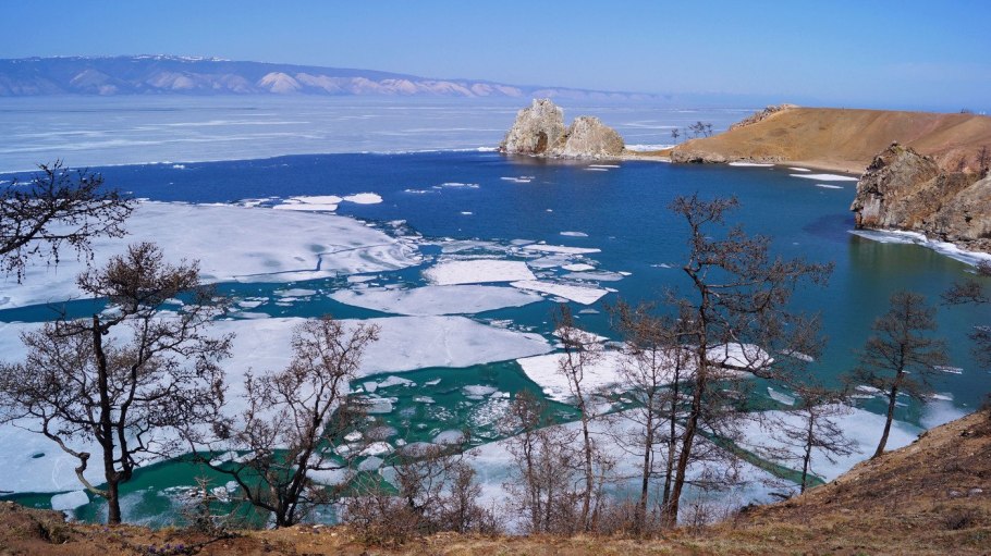 Багульник на Байкале