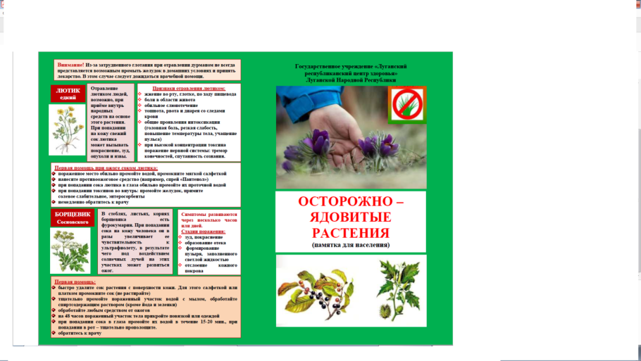 Сад ядовитых растений Альнвика