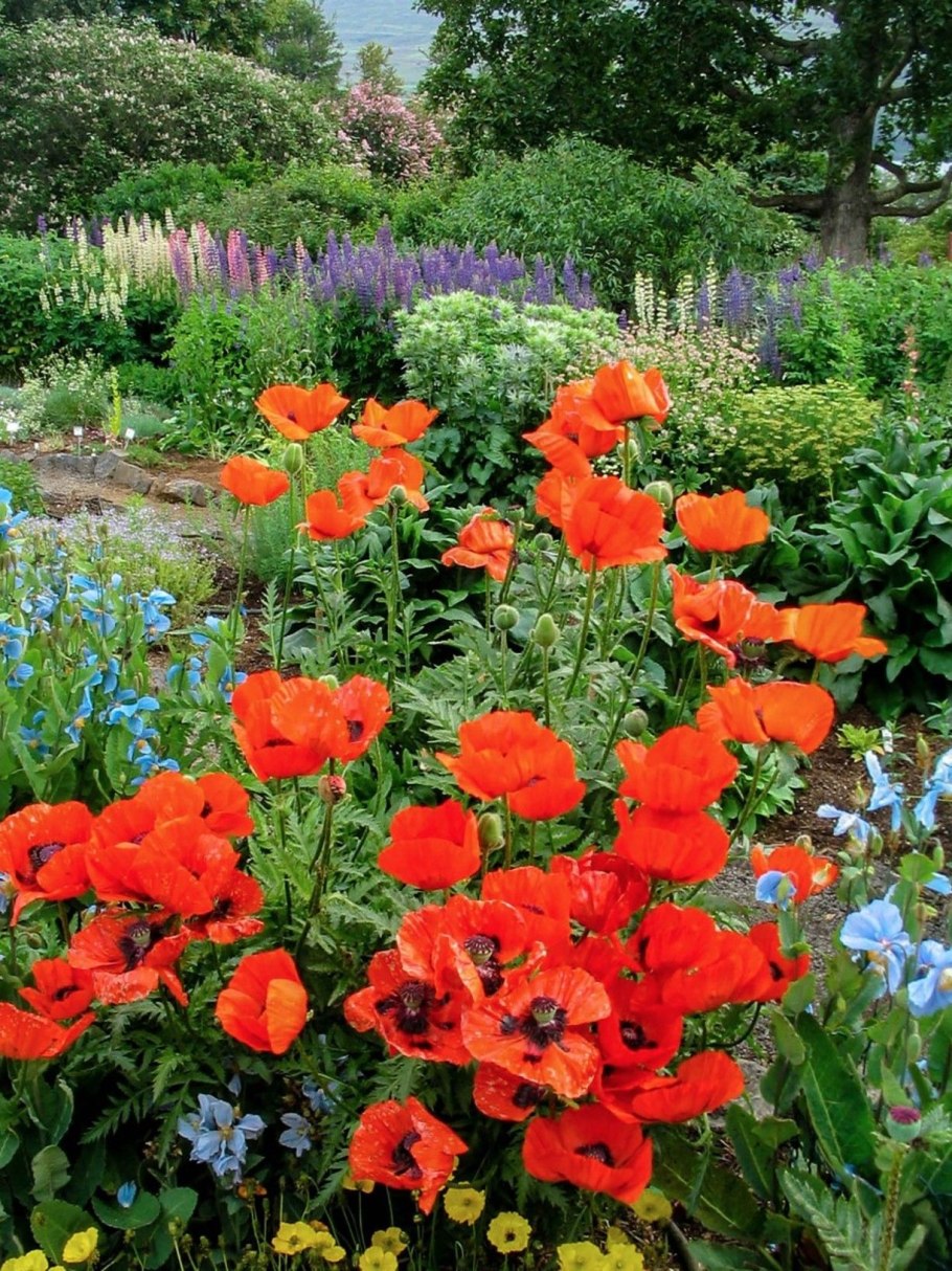 Акюрейри бассейны