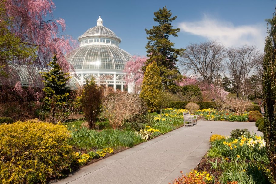 TPOMSO arktisk Alpin Botanisk Hage