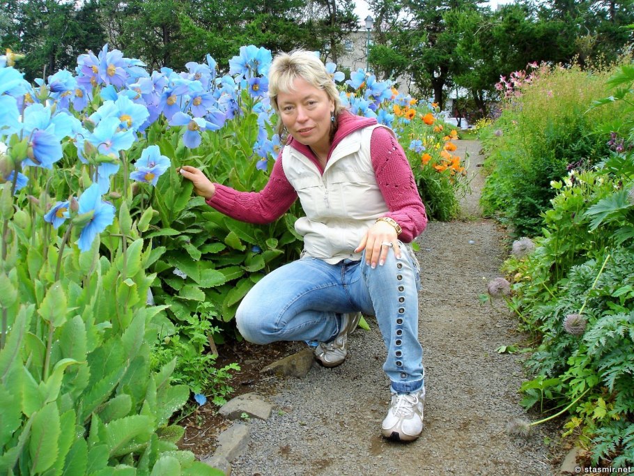 Husavik Исландия песня