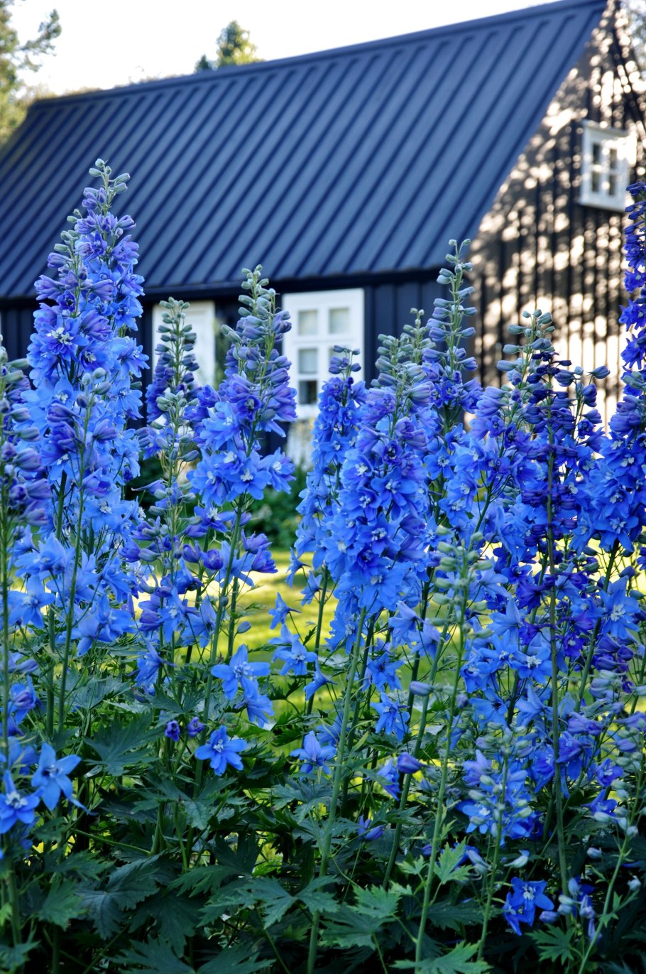 Южная Словакия