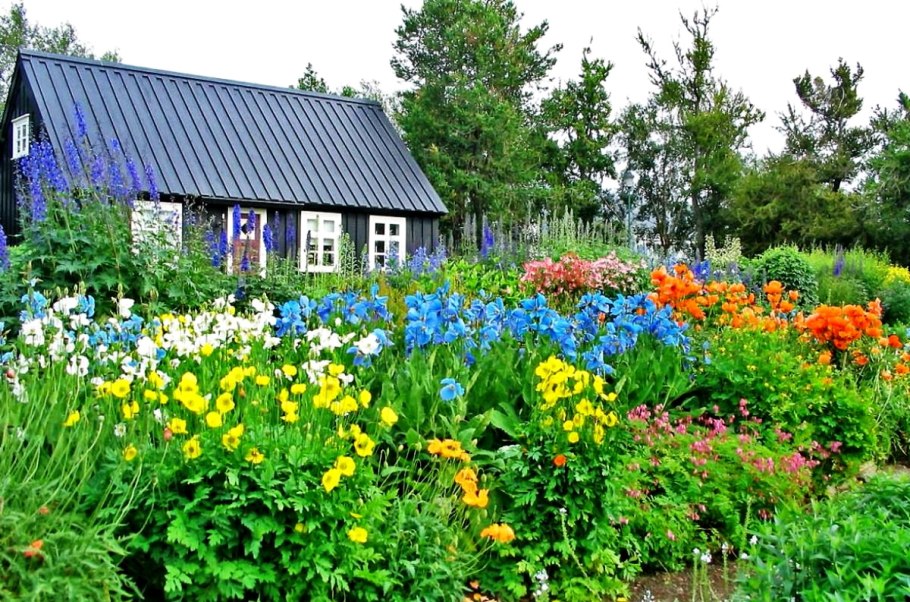 Ботанический сад Исландия