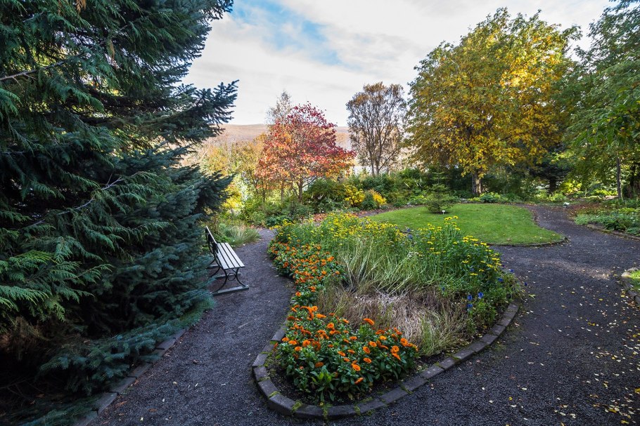 Кафе в Ботаническом саду