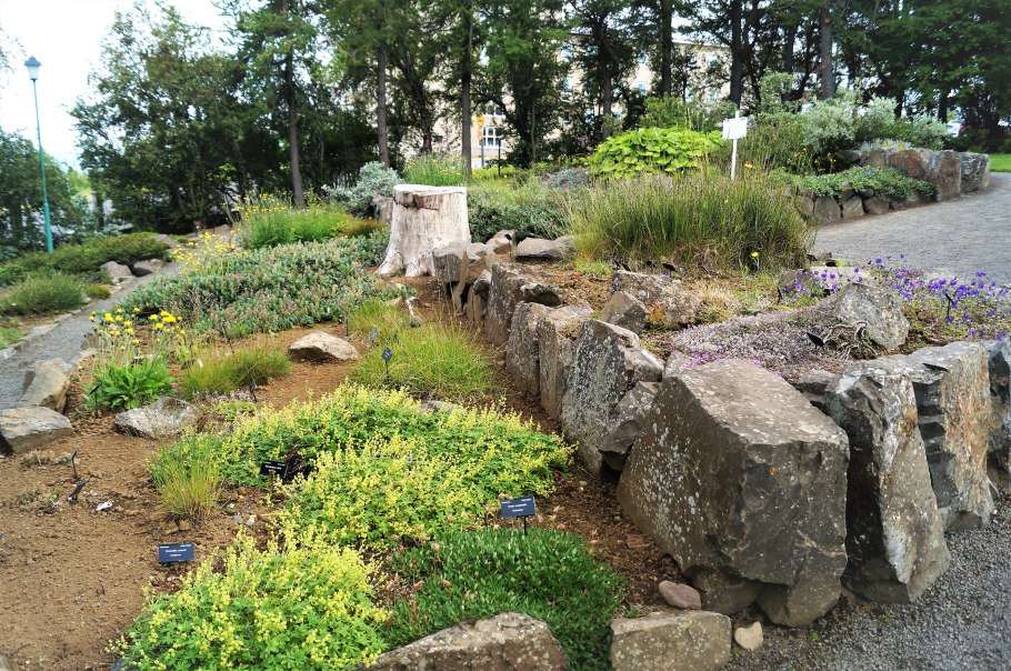 Ботанический сад Акюрейри Исландия