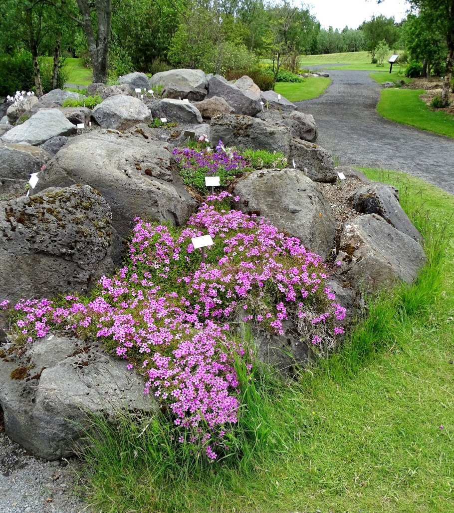 Сайт тепличного хозяйства Семицветье