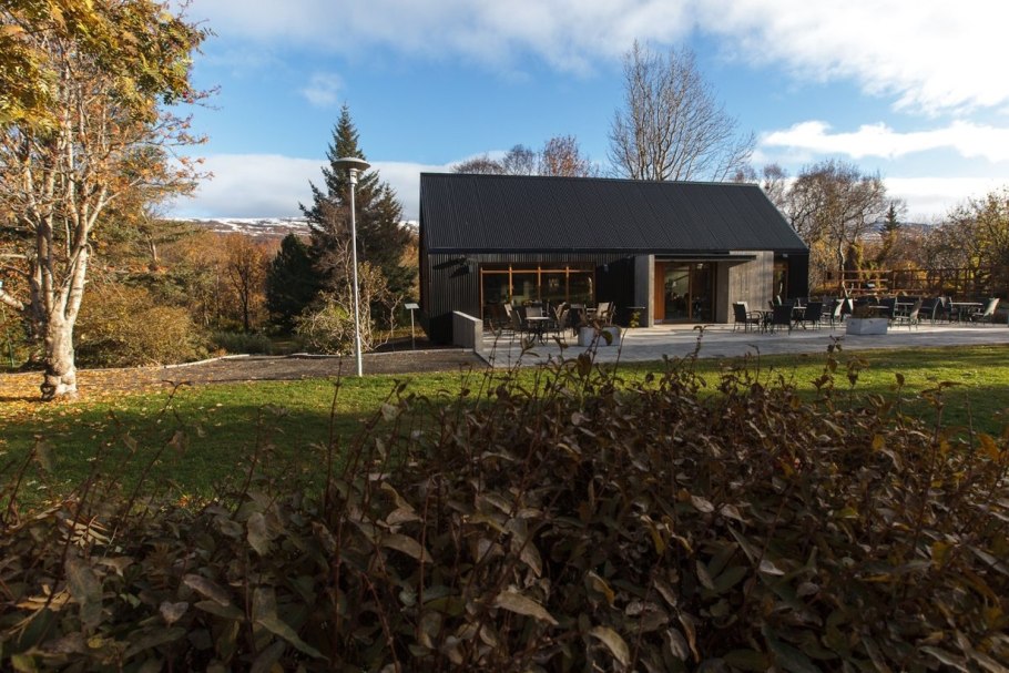 Мертензия Енисейская