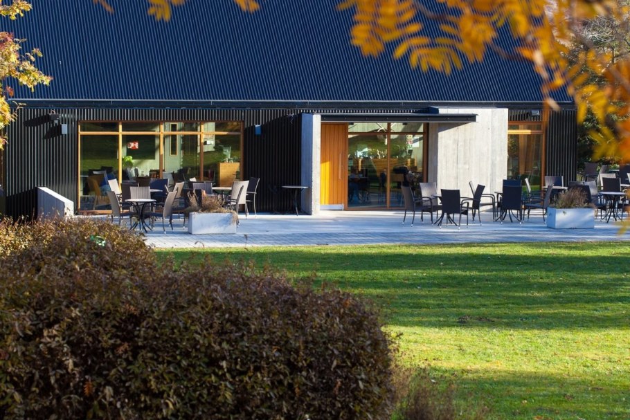 Ранняя осень