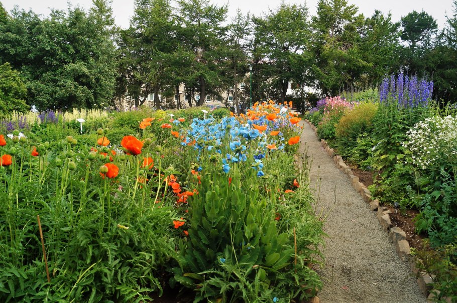 Ботанический сад Рейкьявика