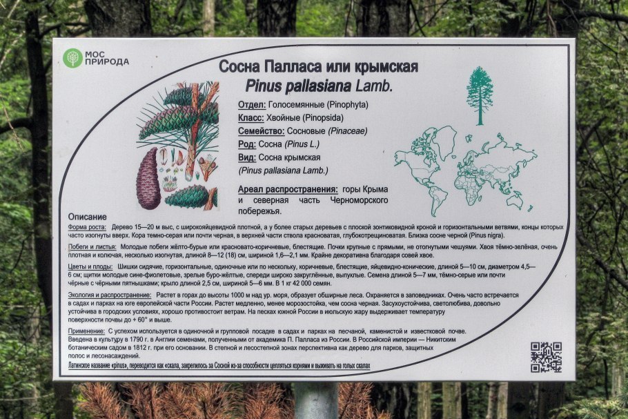 Табличка на сосне коммунистов