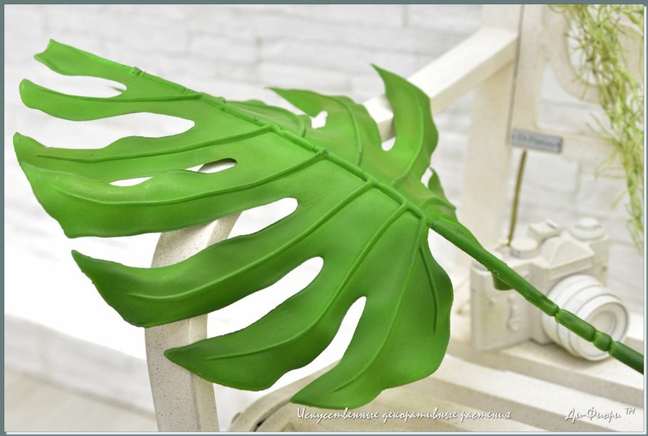 Листья монстеры фон