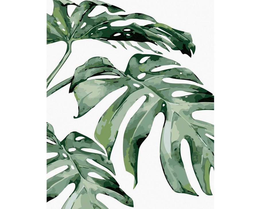 Cercom тропические листья