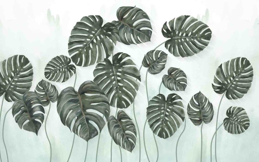 Джунгли спатифиллум монстера