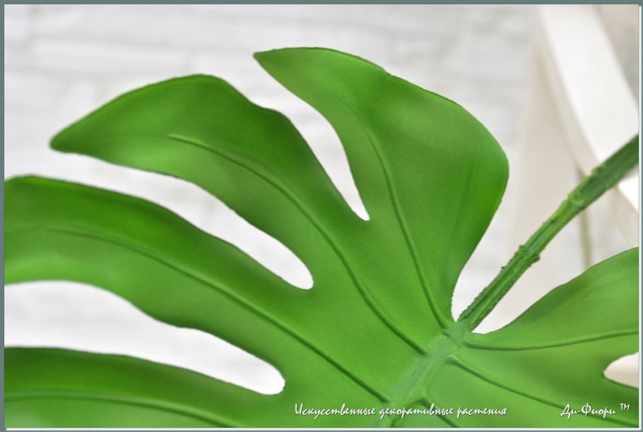 Хайлайтс тропические листья