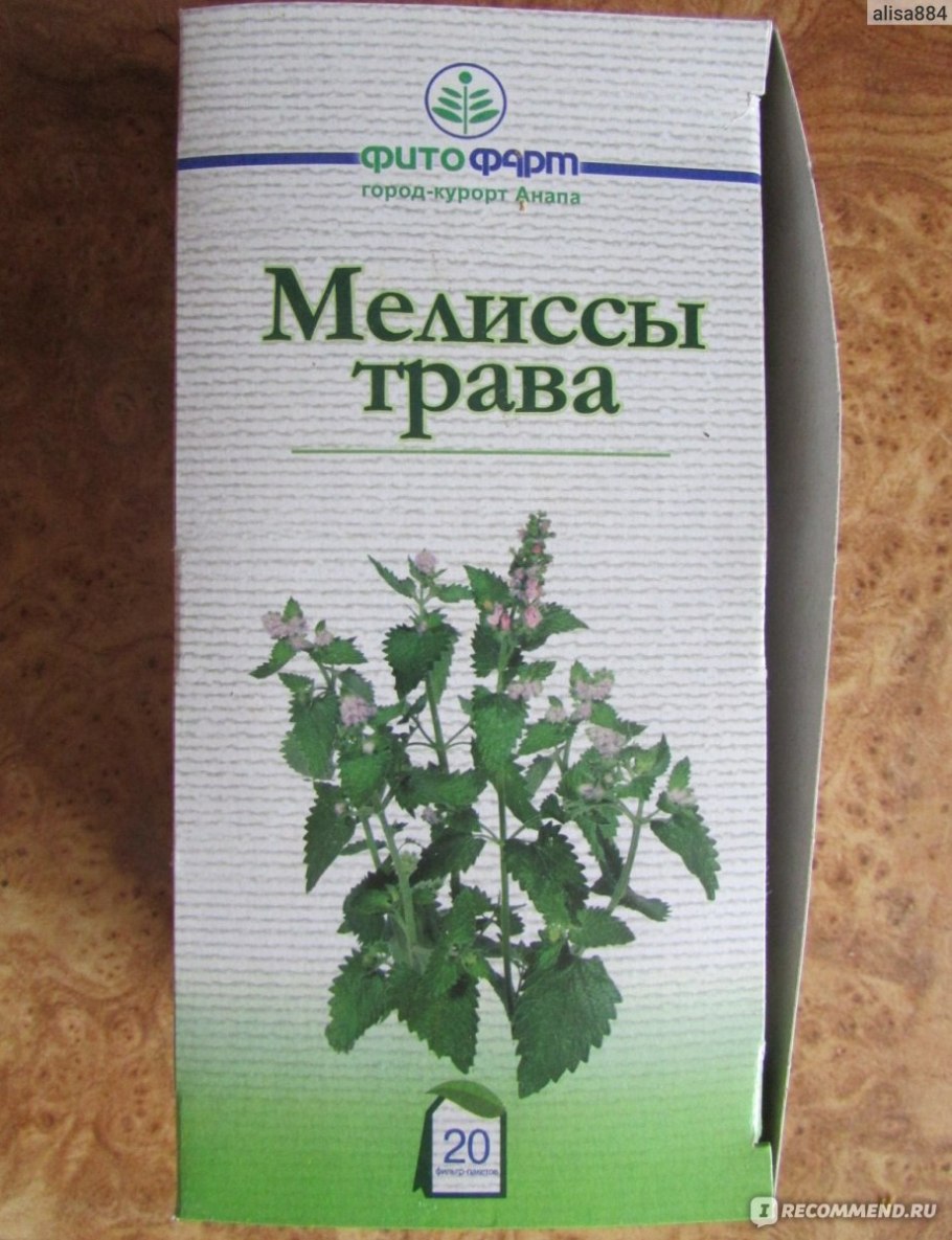 Мята Болотная