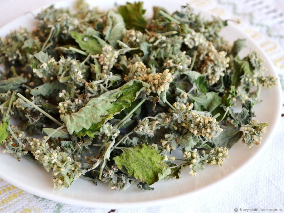 Мелисса мята лимонная