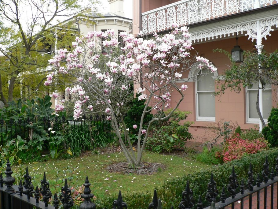 Цветущий сад