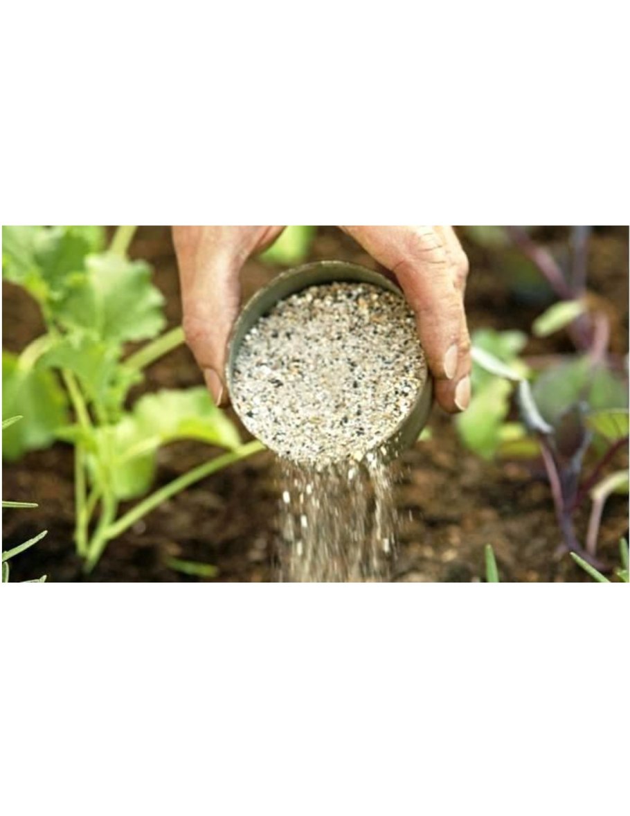 Морковь в ящике