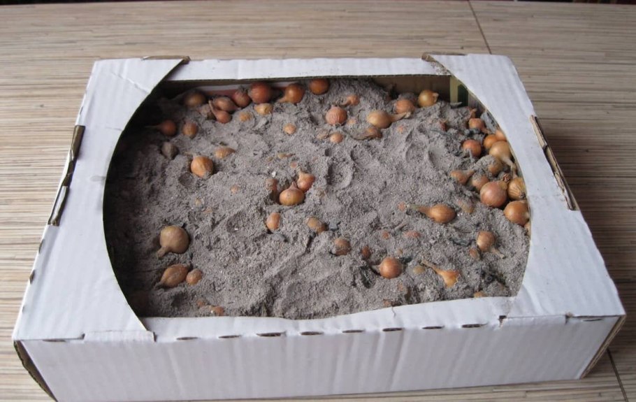 Компостирование мусора