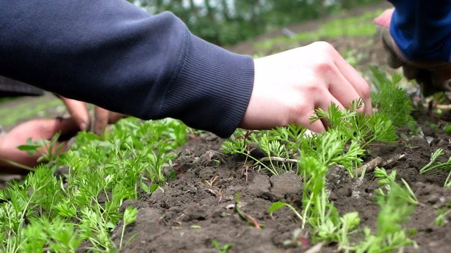 Осенняя перекопка почвы