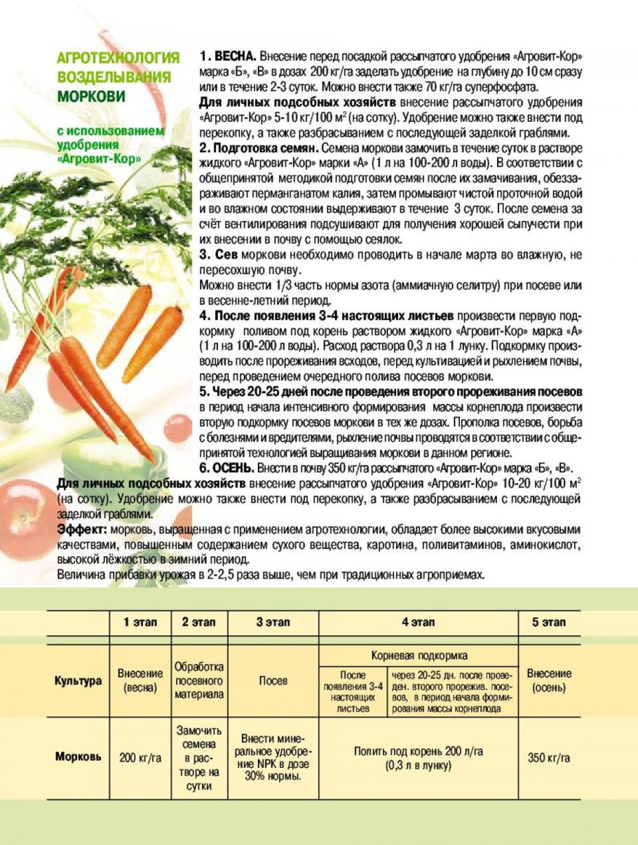 Схема удобрения моркови