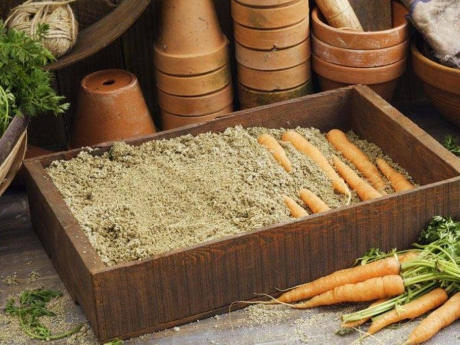 Конский компост мульча