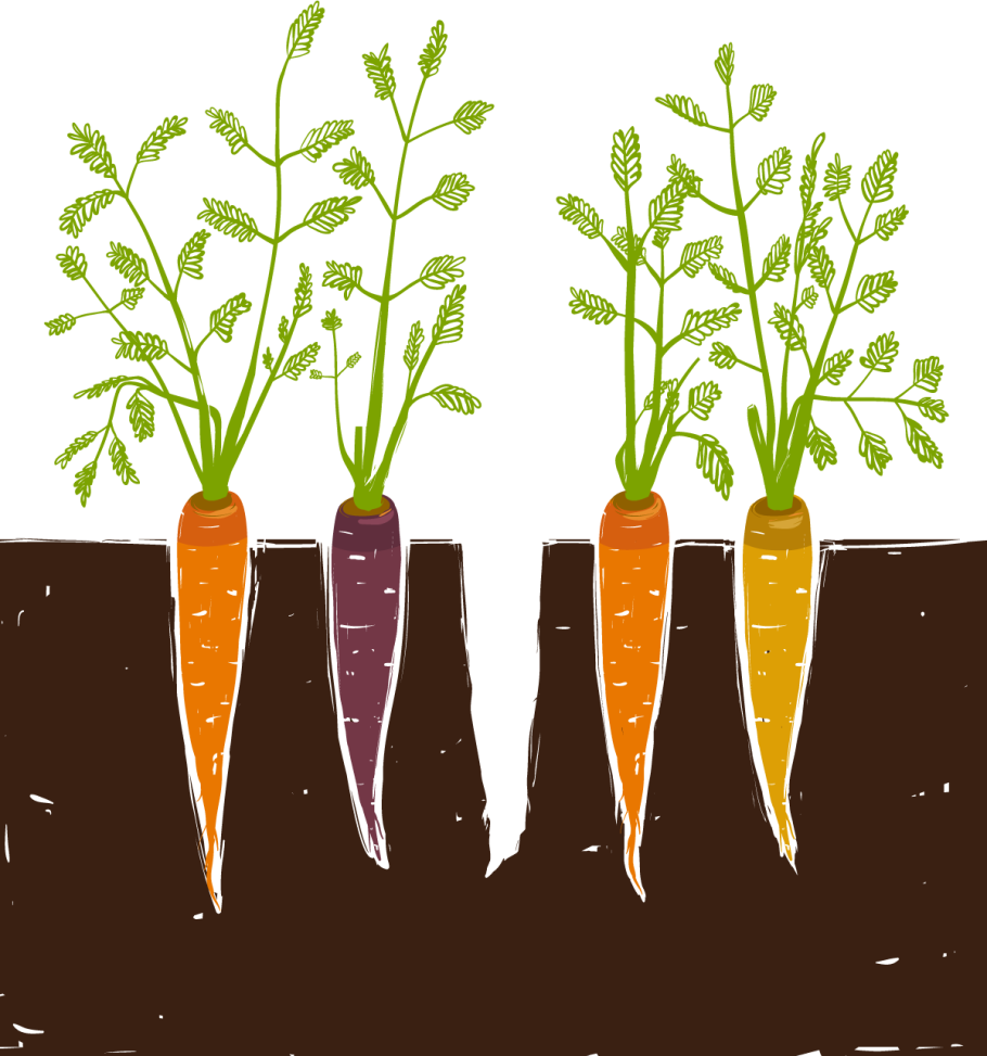 Сорняк проволочник