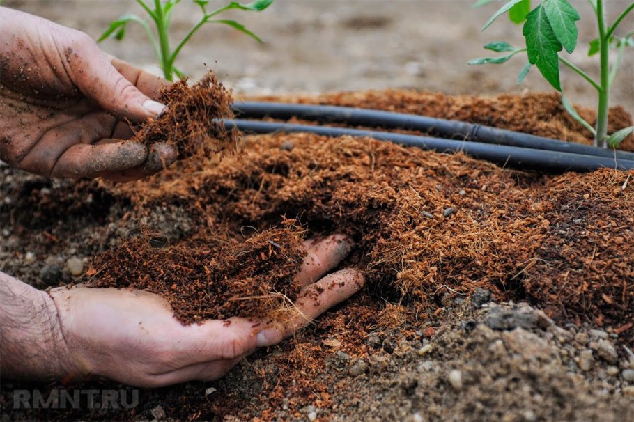 Зола удобрение