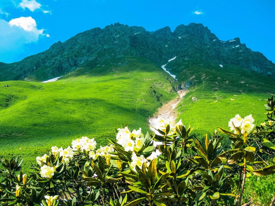 Рицинский реликтовый национальный парк Абхазия