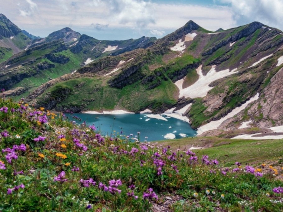Серпантин Абхазия Альпийские Луга