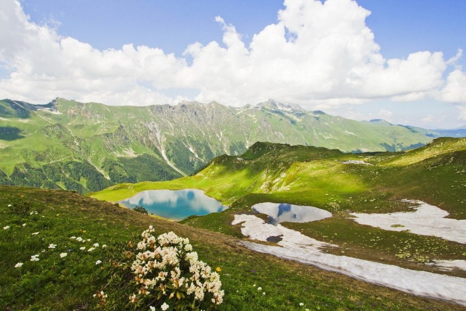 Альпийские Луга Гагра
