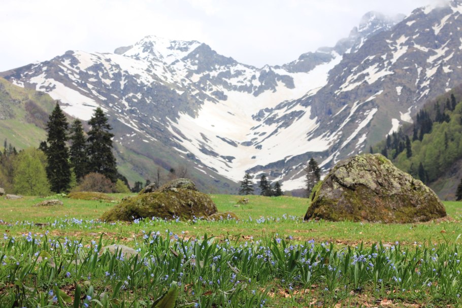 Ауадхара Абхазия Альпийские Луга