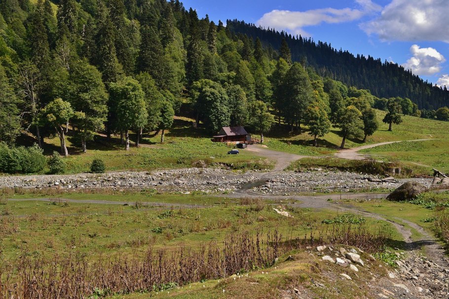 Абхазия горы Альпийские Луга