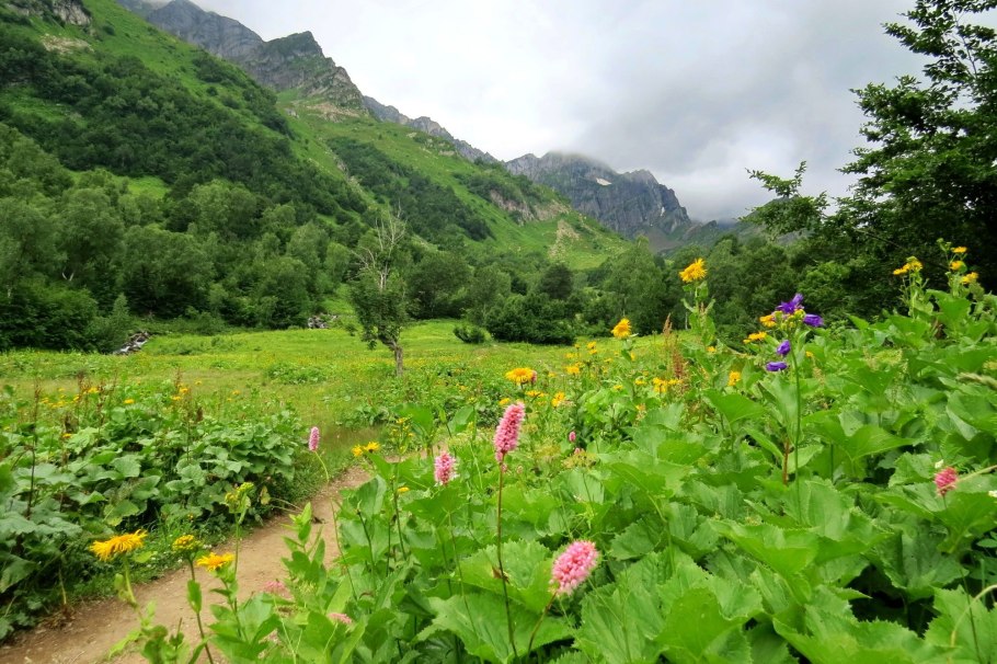 Гора Мамзышха Абхазия