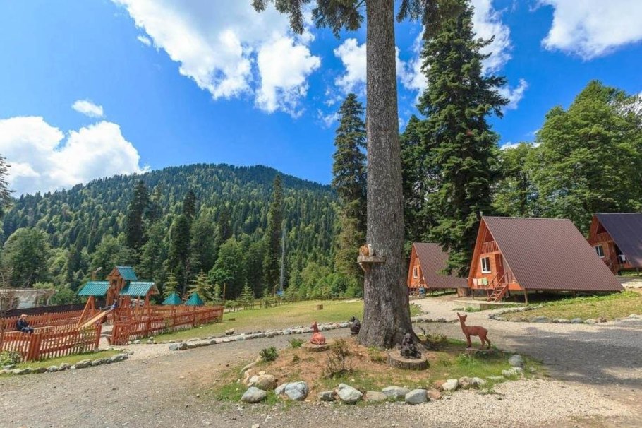 Альпийские Луга Абхазия