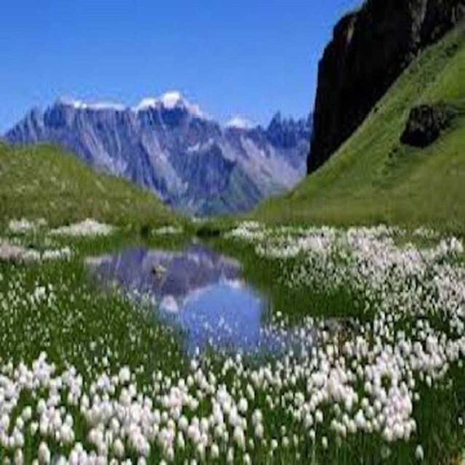 Озеро Рица Альпийские Луга