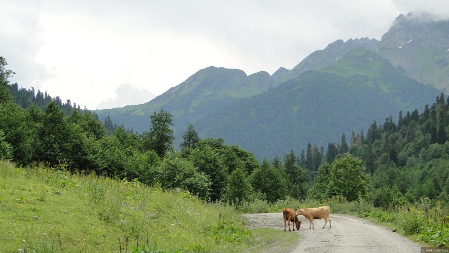 Горные хребты Абхазии