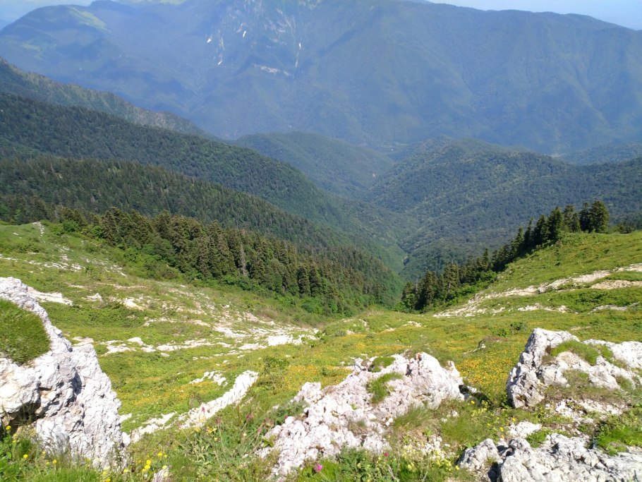 Ауадхара Абхазия Альпийские Луга