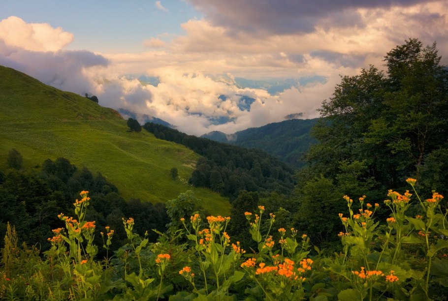 Горное село Ауадхара Абхазия